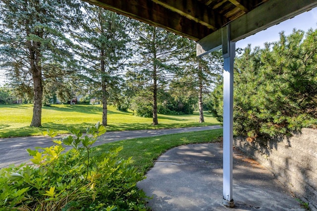 120 6th St SW, Chatfield, MN 55923 - view of patio with view of wooded area