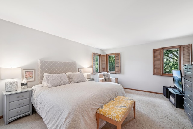 13175 Cardinal Creek Rd, Eden Prairie, MN 55346 - photo 16