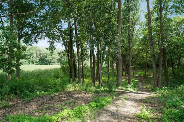 13175 Cardinal Creek Rd, Eden Prairie, MN 55346 - photo 25