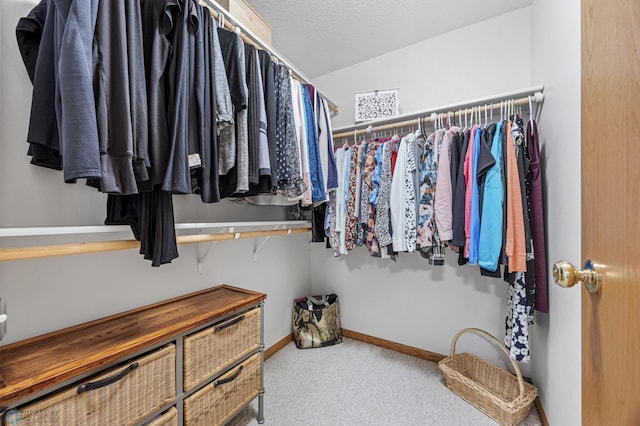3437 26th Ave S, Fargo, ND 58103 - spacious closet with carpet flooring