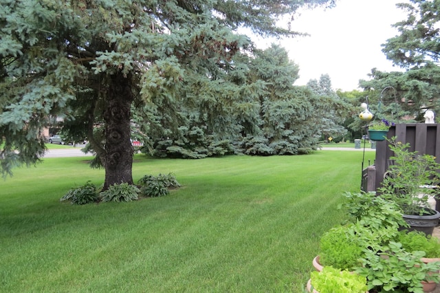 912 3rd St N Unit 7, Cold Spring, MN 56320 - view of green lawn
