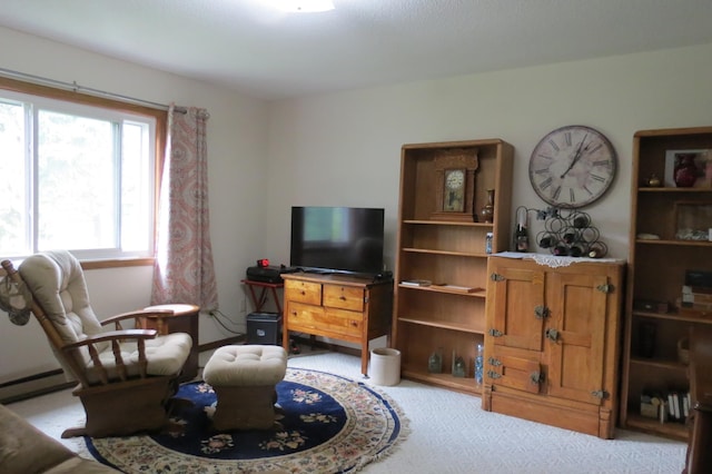 912 3rd St N Unit 7, Cold Spring, MN 56320 - living area featuring carpet flooring