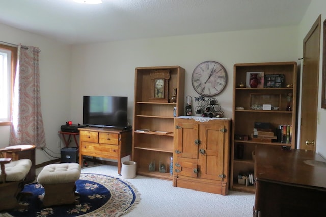 912 3rd St N Unit 7, Cold Spring, MN 56320 - view of carpeted living area