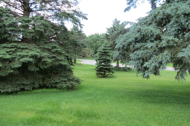 912 3rd St N Unit 7, Cold Spring, MN 56320 - view of green lawn