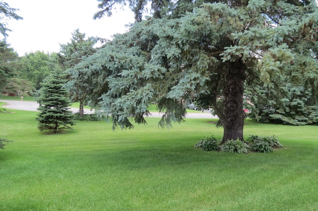 912 3rd St N Unit 7, Cold Spring, MN 56320 - view of grassy yard