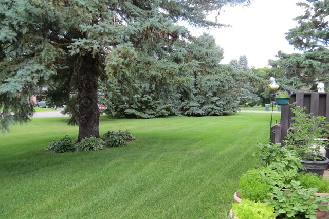 912 3rd St N Unit 7, Cold Spring, MN 56320 - view of grassy yard