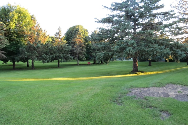 912 3rd St N Unit 7, Cold Spring, MN 56320 - view of community with a yard and view of wooded area