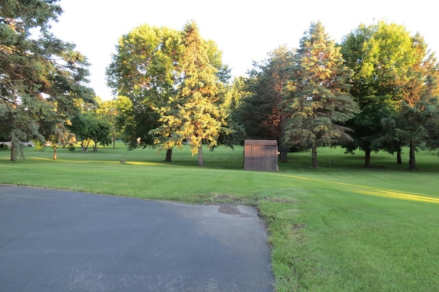 912 3rd St N Unit 7, Cold Spring, MN 56320 - view of green lawn featuring a storage shed