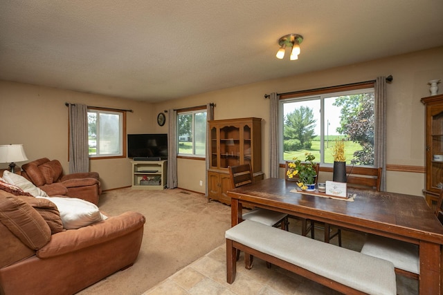 218 Main St S, Dover, MN 55929 - photo 6
