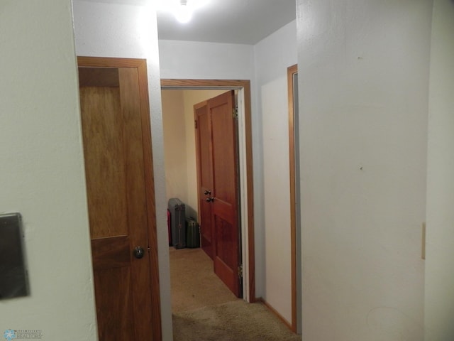 1610 9th St N, Fargo, ND 58102 - corridor featuring carpet