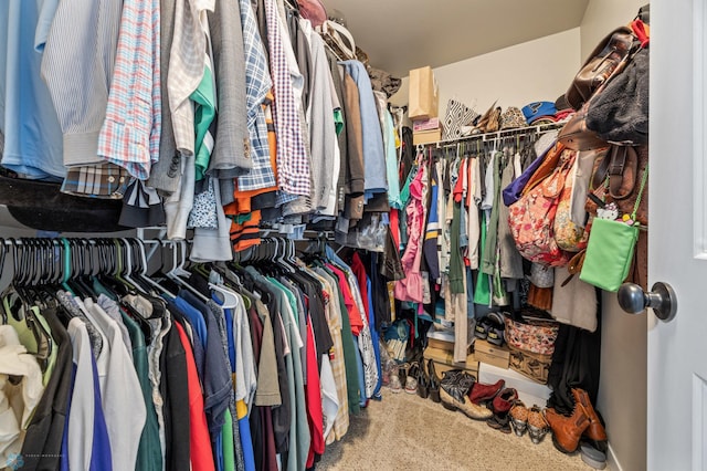 708 30th Ter E, West Fargo, ND 58078 - spacious closet with carpet