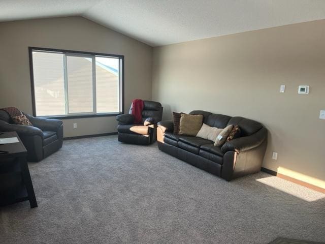 23648 Lily St NW, Saint Francis, MN 55070 - carpeted living room with lofted ceiling and baseboards