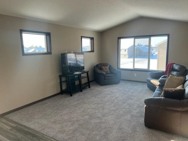 23648 Lily St NW, Saint Francis, MN 55070 - carpeted living room with lofted ceiling and baseboards