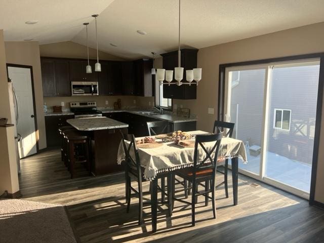 23648 Lily St NW, Saint Francis, MN 55070 - dining space with wood finished floors and vaulted ceiling