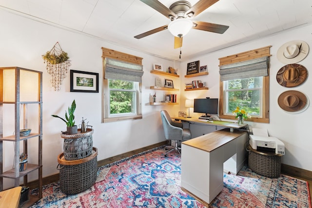 13491 80th St NW, Annandale, MN 55302 - office space with ceiling fan and baseboards