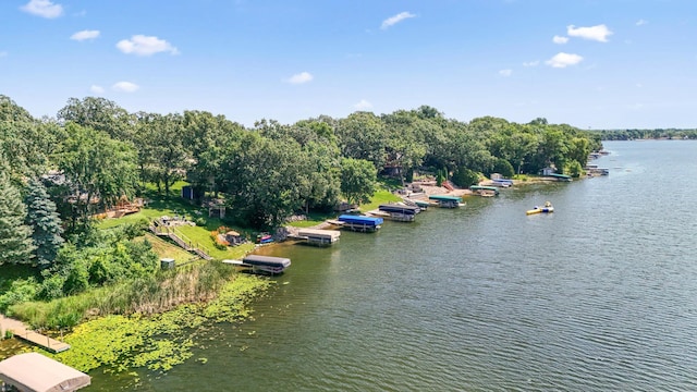 13491 80th St NW, Annandale, MN 55302 - aerial view of a large body of water