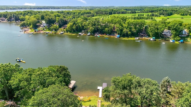 13491 80th St NW, Annandale, MN 55302 - aerial view of a large body of water and a heavily wooded area