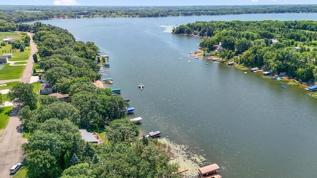 13491 80th St NW, Annandale, MN 55302 - aerial view of a nearby body of water