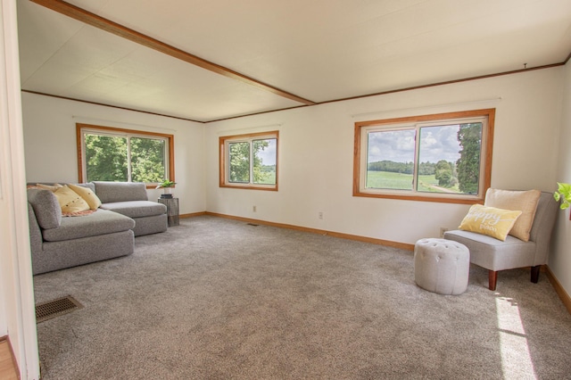 N6050 270th St, Lucas Twp, WI 54751 - sitting room featuring carpet and baseboards
