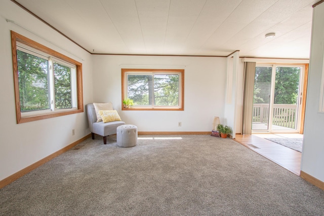 N6050 270th St, Lucas Twp, WI 54751 - unfurnished room featuring plenty of natural light and carpet floors