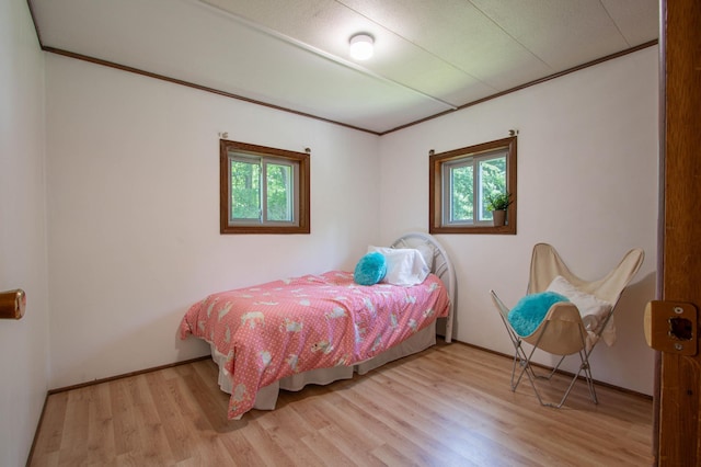N6050 270th St, Lucas Twp, WI 54751 - bedroom with multiple windows and light wood finished floors