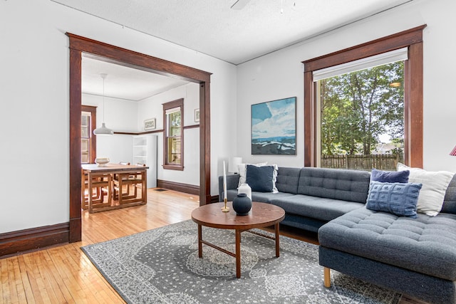 1066 Woodbridge St, Saint Paul, MN 55117 - living area with plenty of natural light and light wood-style floors