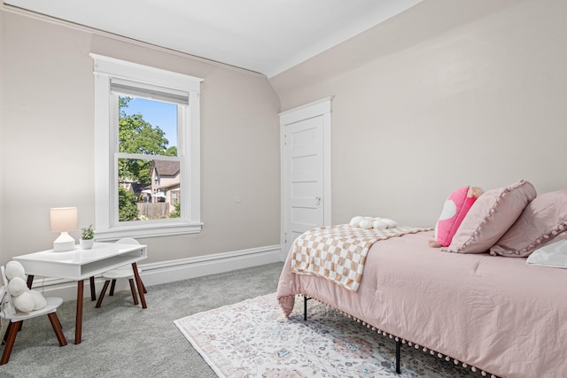 1066 Woodbridge St, Saint Paul, MN 55117 - bedroom featuring carpet and baseboards