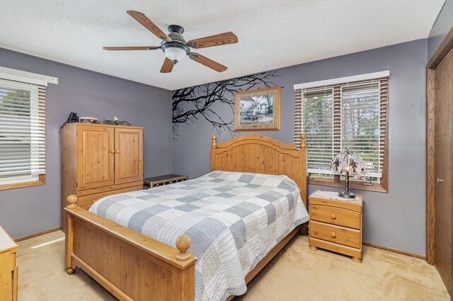 141 Coventry Rd, Le Sueur, MN 56058 - photo 17