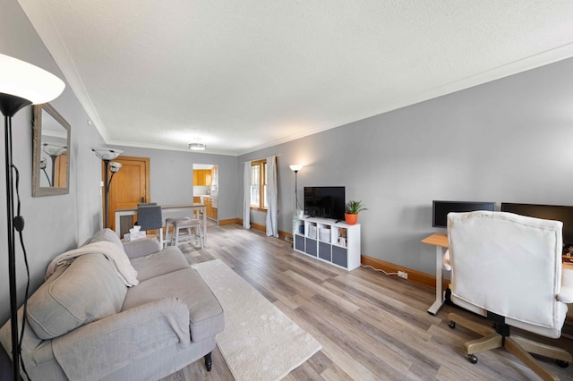 4334 Thomas Ave N, Minneapolis, MN 55412 - living area featuring a textured ceiling, crown molding, and light wood-style floors