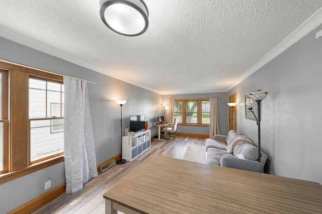 4334 Thomas Ave N, Minneapolis, MN 55412 - living area featuring a textured ceiling, light wood-type flooring, and crown molding