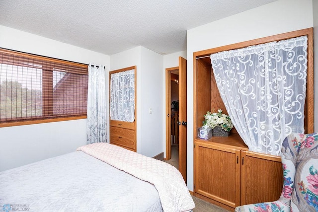 15 Fremont Dr S, Fargo, ND 58103 - bedroom with carpet floors, a textured ceiling, and multiple closets