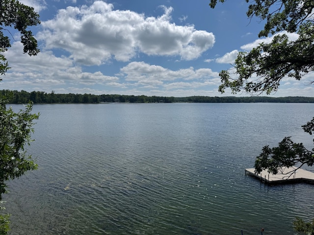 49501 Trowbridge Cir, Vergas, MN 56587 - photo 15
