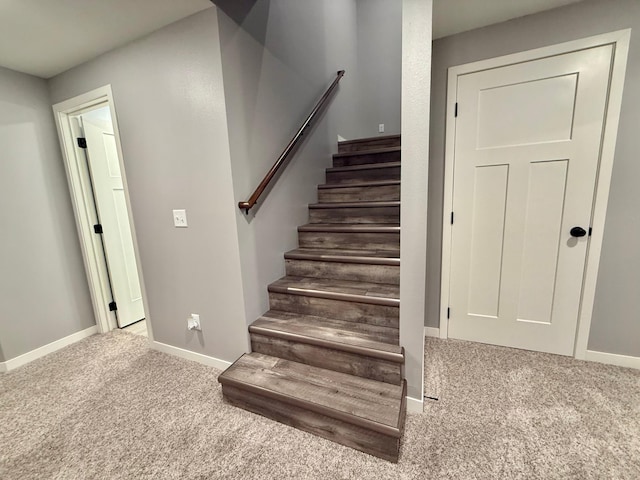 2010 Nelson Dr, Thief River Falls, MN 56701 - photo 32