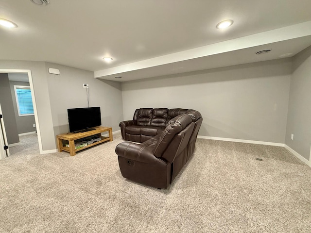 2010 Nelson Dr, Thief River Falls, MN 56701 - photo 33