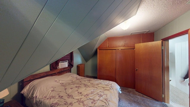 500 Main Ave, Lafayette, MN 56054 - bedroom featuring carpet, a closet, and vaulted ceiling