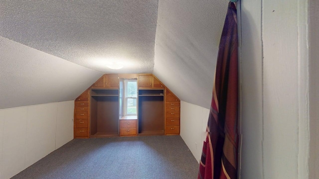 500 Main Ave, Lafayette, MN 56054 - additional living space featuring lofted ceiling, a textured ceiling, and light colored carpet