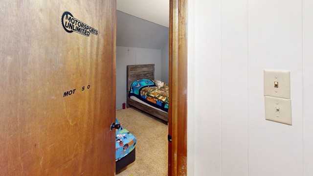 500 Main Ave, Lafayette, MN 56054 - carpeted bedroom with lofted ceiling