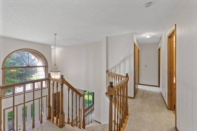 8298 Jody Ln S, Cottage Grove, MN 55016 - photo 30