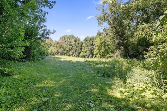 8298 Jody Ln S, Cottage Grove, MN 55016 - photo 62