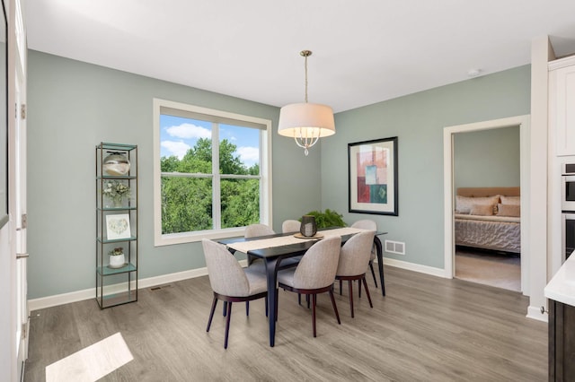 18113 Jurel Cir, Lakeville, MN 55044 - photo 9