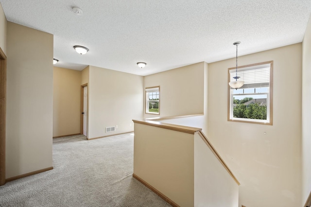 651 Ravencroft Rd, Waconia, MN 55387 - hall with an upstairs landing, light colored carpet, and a textured ceiling