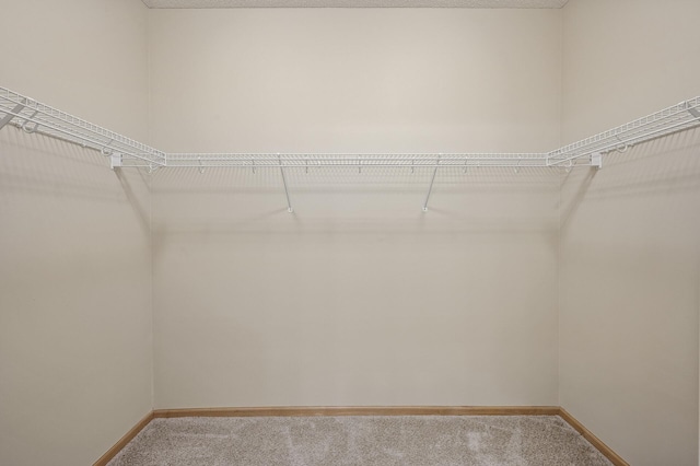 651 Ravencroft Rd, Waconia, MN 55387 - spacious closet featuring carpet floors