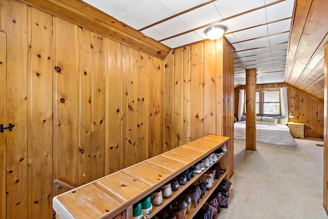 5501 30th Ave S, Minneapolis, MN 55417 - corridor featuring vaulted ceiling and wood walls