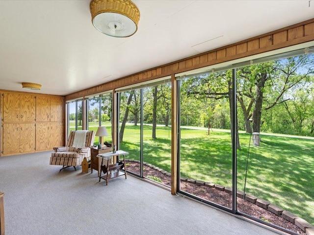 15170 141st Ave, Wadena, MN 56482 - sunroom featuring carpet flooring, wooden walls, and view of scattered trees