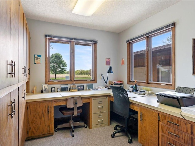 15170 141st Ave, Wadena, MN 56482 - office area with built in study area, light carpet, and a textured ceiling