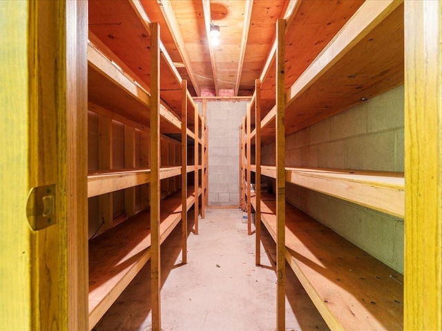 15170 141st Ave, Wadena, MN 56482 - view of storage room
