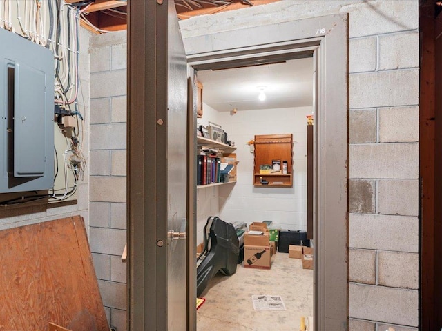 15170 141st Ave, Wadena, MN 56482 - basement with electric panel and concrete block wall