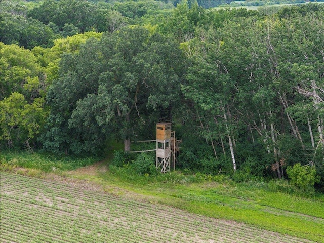 15170 141st Ave, Wadena, MN 56482 - view of yard with a view of trees