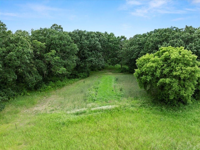 15170 141st Ave, Wadena, MN 56482 - view of woods