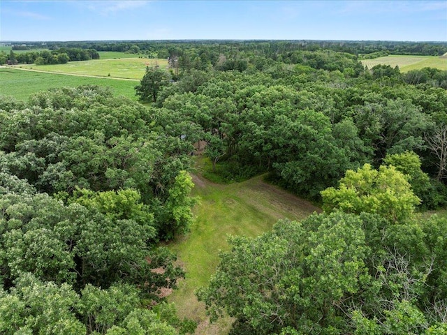 15170 141st Ave, Wadena, MN 56482 - drone / aerial view